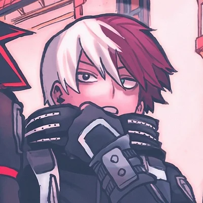 01MHA Todoroki Shoto