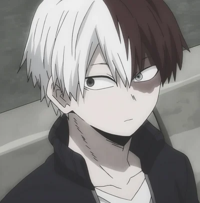 shoto todoroki