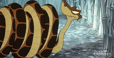 Kaa