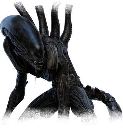 Xenomorph