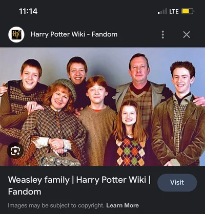 The Weasley family