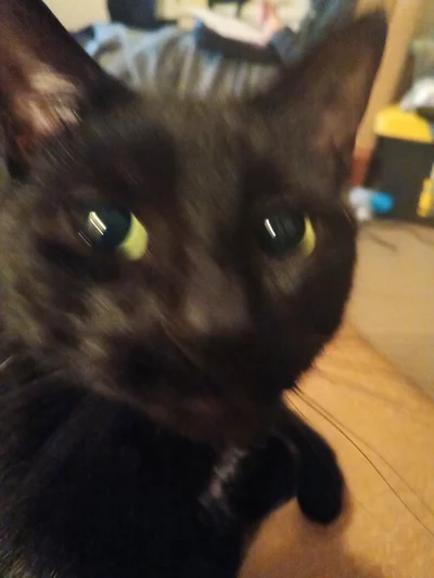 Me and Binx